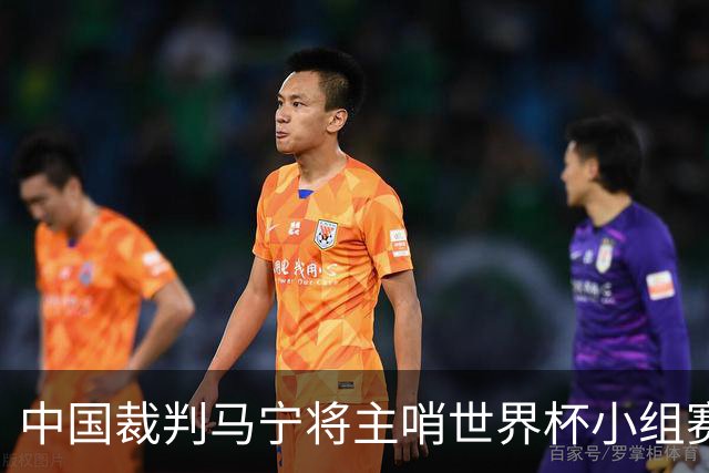 中国裁判马宁将主哨世界杯小组赛第二轮比赛